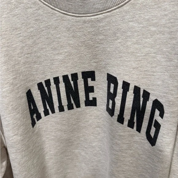 Anine Bing Tyler Sweatshirt - Picture 3 of 6